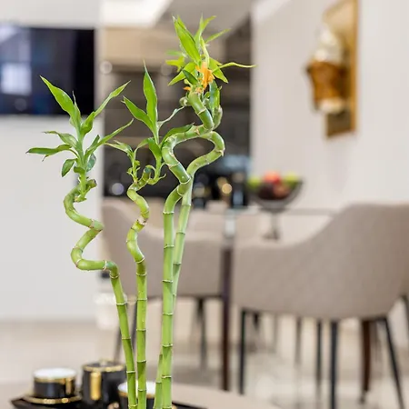 Vivian's Luxury Apartmán Monemvasía