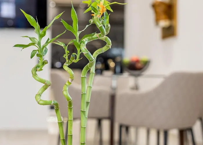 Vivian's Luxury Apartmán Monemvasía